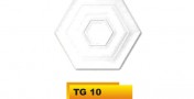 TG 10